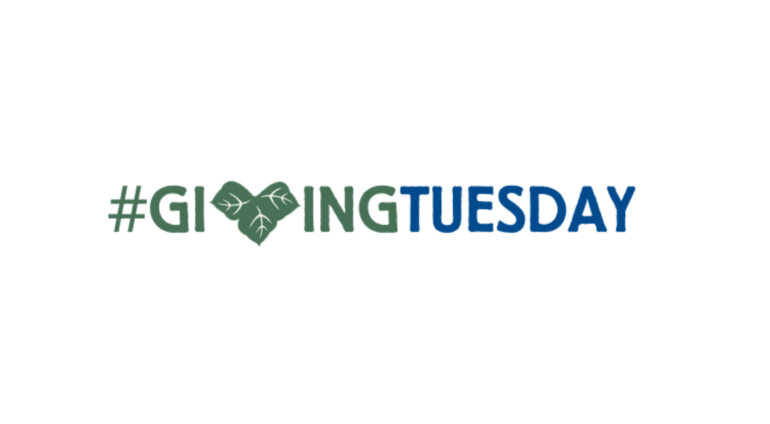 #GivingTuesday 11 Alive Feature